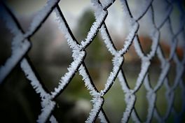 Image of a frozen boundary fence.