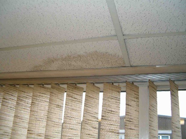 image of damp to an office ceiling.
