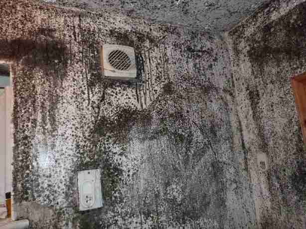 Image of a mouldy shower.